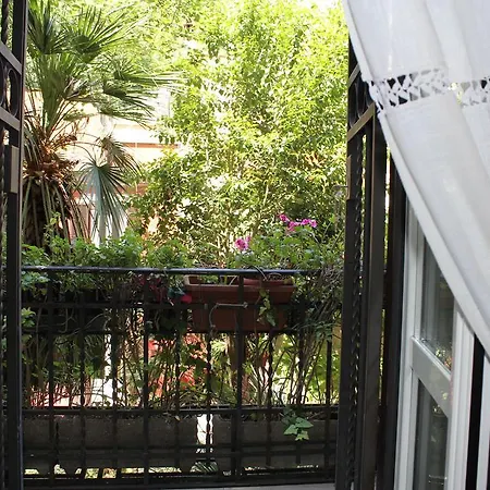 Trastevere Nievo *